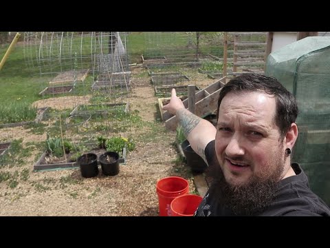 Tour Of My Urban Homestead