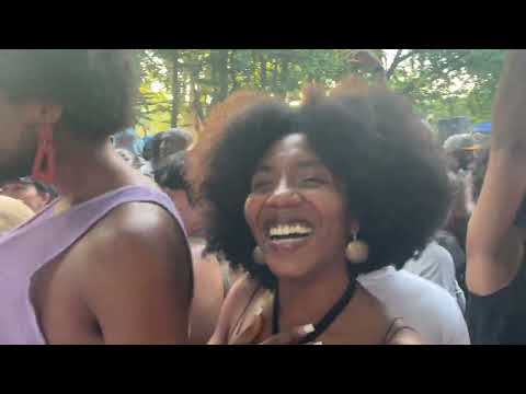 Vibes of Soul Summit @Fort Greene Park 3 - Brooklyn NYC America July 7, 2024