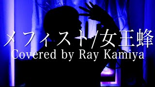 - 【推しの子ED】メフィスト(Mephisto)/女王蜂【歌ってみた】
