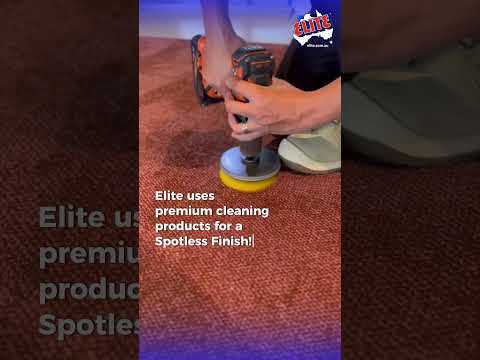 Carpet Cleaning Techniques | Elite