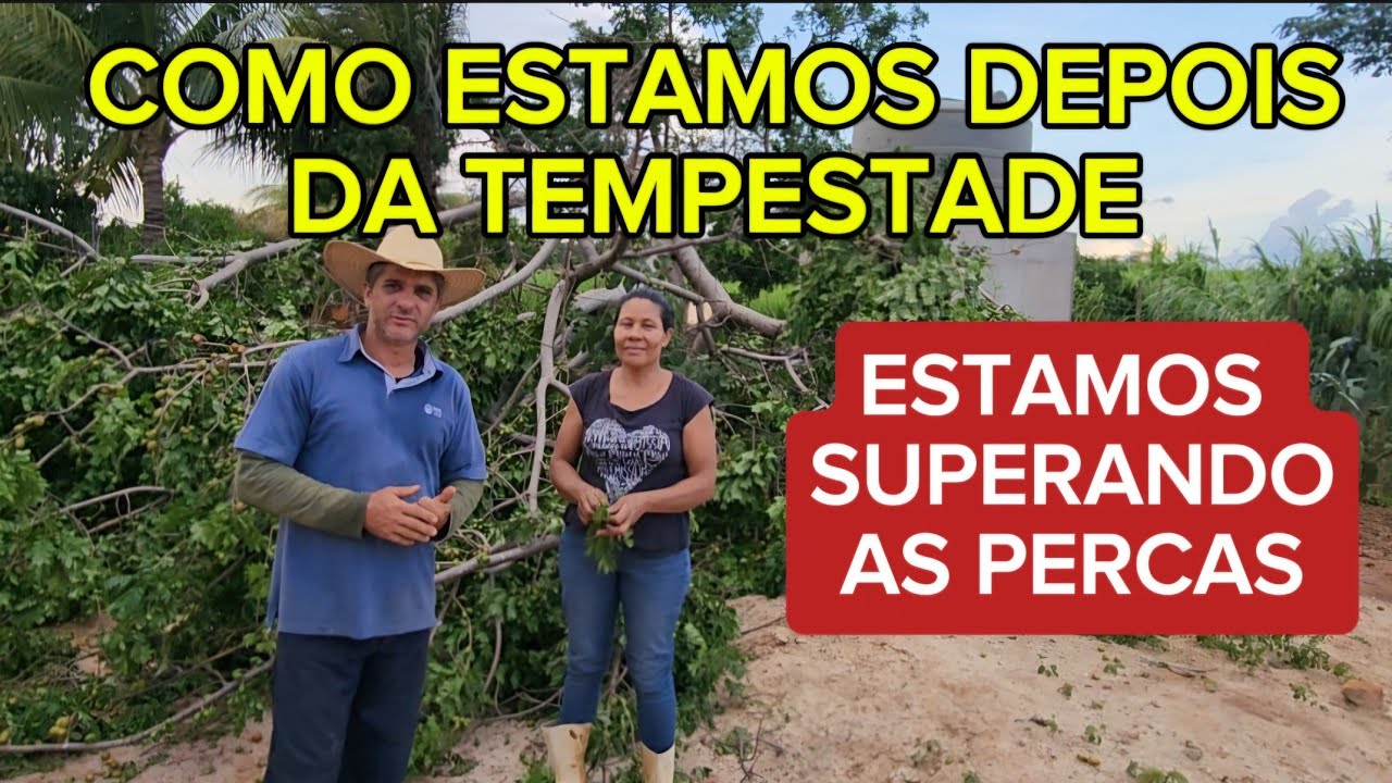 UM DIA DEPOIS DA TEMPESTADE  VEJA COMO FICOU O SÍTIO.  ROBERTO LUNA VIDA NA ROÇA.