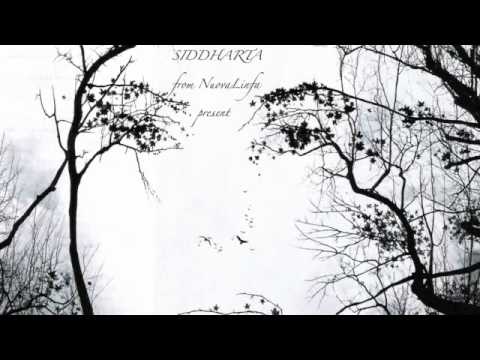 Rebecca - Siddharta (feat. Ocra Miroy)