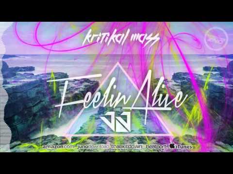 DNZ152 // KRITIKAL MASS - FEELIN ALIVE JJ REMIX (Official Video DNZ RECORDS)