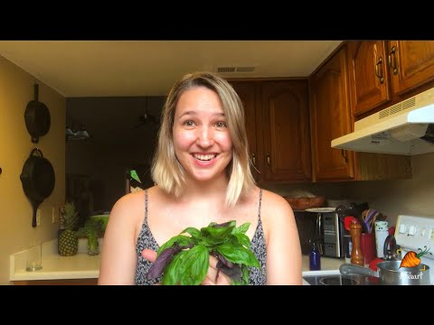 How to make BASIL PESTO with a MORTAR AND PESTLE | Harvest and Cook | Auxhart Gardening