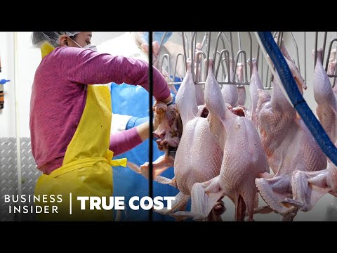 How Ethical Was Your Holiday Turkey? | True Cost