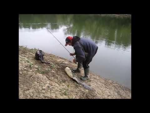 Som,Catfish on Brk Sebila 25gr 65mm