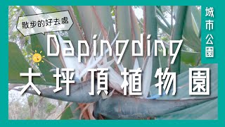 大坪頂熱帶植物園｜日常散步的好去處 - Dapingding Tropical Botanical Garden