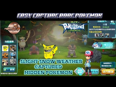 HIDDEN RARE POKEMON (Slight SNOW WEATHER) "ENGGRAVE POKEMON 3D" CHINESE VERSION