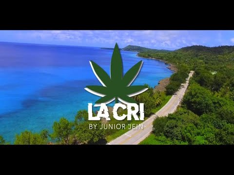 LA CRI - JUNIOR JEIN