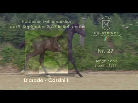 Nr. 27 v. Diarado - Cassini II