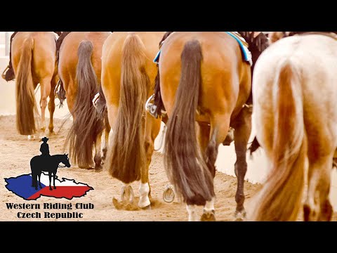 MISTROVSTVÍ WRC ČR 2021 - mládež ( 1. den) - část 1/3