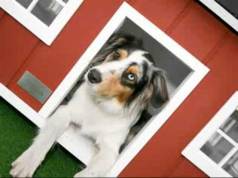 comment construire niche bois