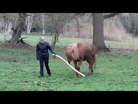 2022-04-15 Kaldur & Linda