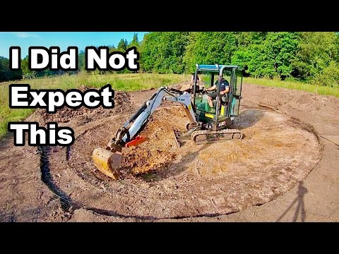 I Built a Wildlife Pond in a Wildflower Meadow & This Happened