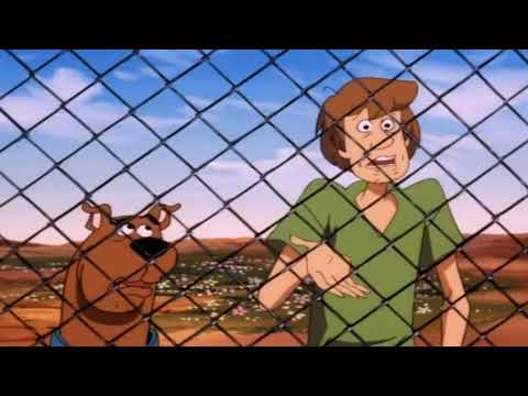 Finding Denno - Your son Chico