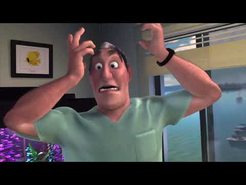 P Sherman the Animals are Gone Mad?!