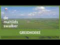 DE MAITIIDSSWALKER: De Greidhoeke is een perfecte plek voor vogels