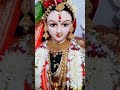 Gauri Ganpati Decoration बसलेल्या गौरी Deshmukh Family Gauri Pujan 2020 Gaur