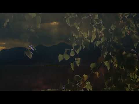 Franz Schubert: Die Gebüsche