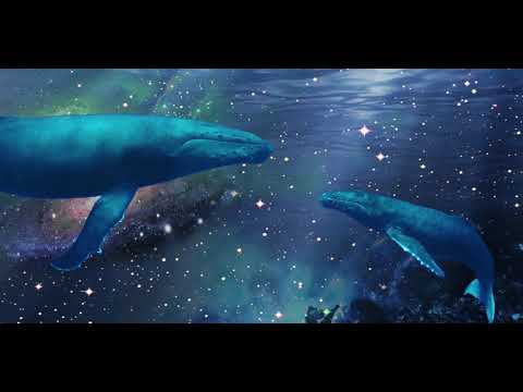 17. MC Losibe - Baleia Azul Feat. Joana Freire & Naomi Druck