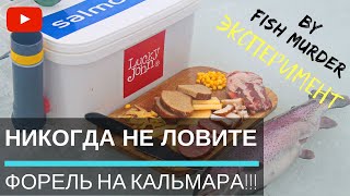 Насадки прикормки приманки крючки снасти для ловли хищной рыбы