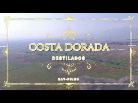 DESTILADOS - COSTA DORADA. (Vídeo Oficial)