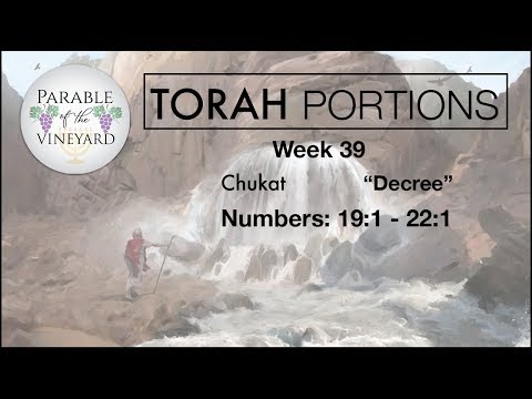 Torah Portions - Week 39 - CHUKAT |  חקת | “Decree” - W/ Parable of the Vineyard