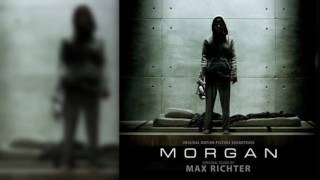 16.- Dark Matter / Reflection - Max Richter