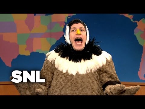 Update: Larry the Goose- Survivor Tales - Saturday Night Live