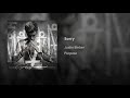 Justin Bieber Sorry Audio