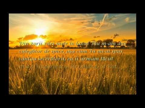 Pr.Marian Marcus: Din zorii zilei mele