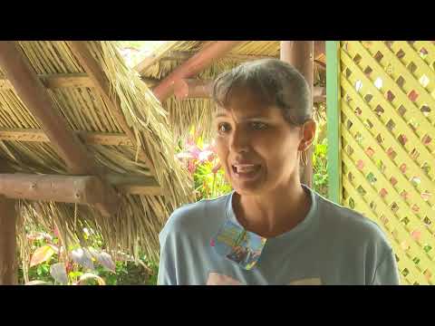 Abogan en #LasTunas por mayor concienciación sobre el Autismo