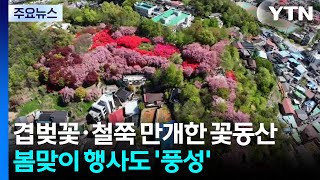 겹벚꽃·철쭉 만개한 꽃동산...봄맞이 행사도 '풍성' / YTN