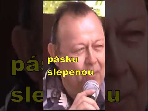 Karel Gott - Beatles - Není to Playback??