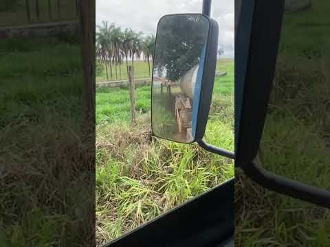 Serra da saudade, menor município do Brasil, #turismo #leite #automobile #milk #agro  #agronegocio