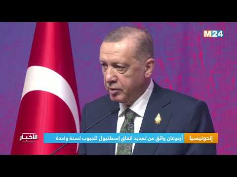 إندونيسيا.. أردوغان واثق من تمديد اتفاق إسطنبول للحبوب لسنة واحدة