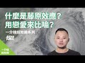 【 一分鐘大挑戰】什麼是藤原效應？用戀愛來比喻｜一分鐘物一生ep.10