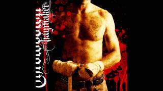 Throwdown - Face The Mirror