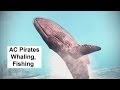 AC Pirates New features: Whaling, Fishing ...