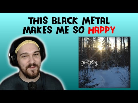 Composer/Musician Reacts to Panopticon - Where Mountains Pierce the Sky (REACTION!!!)