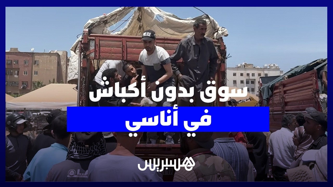 سوق بدون أكباش في أناسي.. مواطنون يشتكون ارتفاع الأسعار وغياب الأضاحي الصالحة للدبح thumbnail