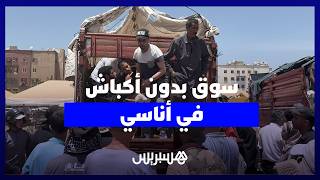 سوق بدون أكباش في أناسي.. مواطنون يشتكون ارتفاع الأسعار وغياب الأضاحي الصالحة للدبح thumbnail