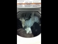 2006 Kenmore Elite Calypso Washing Clothes