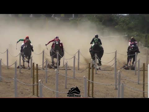 Cortes - 1º Páreo - Corrida de Cavalos / I BAHIA FUTURITY 2021