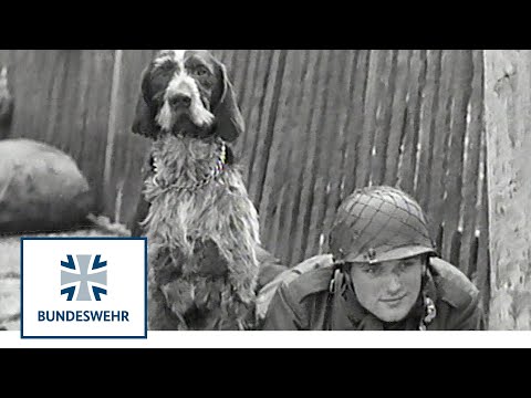Classix: Herbstübung "Schwarzer Löwe" (1968) - Bundeswehr