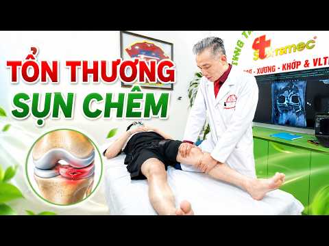 Tổn Thương Sụn Chêm: Sai Lầm Khiến Đau Gối Dai Dẳng Mà Không Biết!