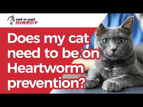 Does my cat need to be on Heartworm prevention?
