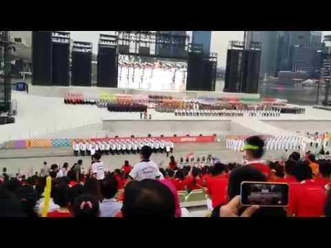 NDP 2014 NE 1 - Guard of honour March past