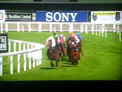 Queen Elizabeth II Stakes 2010 - Poet's Voice