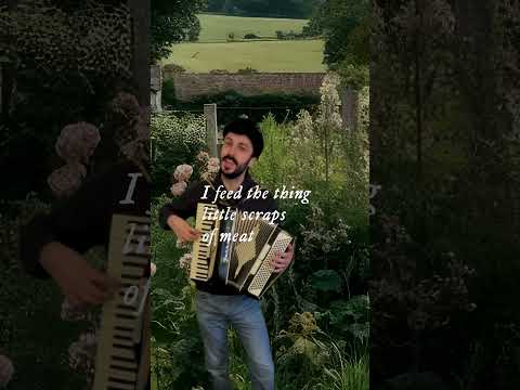 Cottagecore Life - Morgan Morse